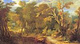 Wooded Landscape by Unknown Artist